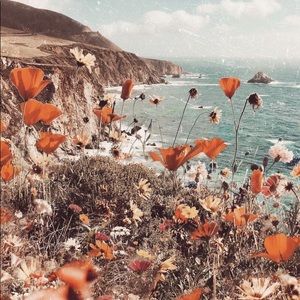 Meet your Posher, Rosario